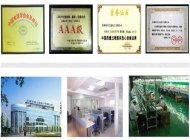 Shenzhen Branch of the plastic bag tripod electronic automatic machine production orders completed